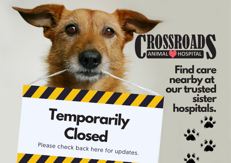 Carousel Slide 1: Learn More >>