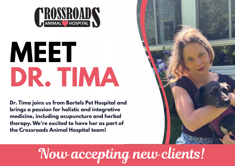 Carousel Slide 1: Learn more about Dr. Tima here>>
