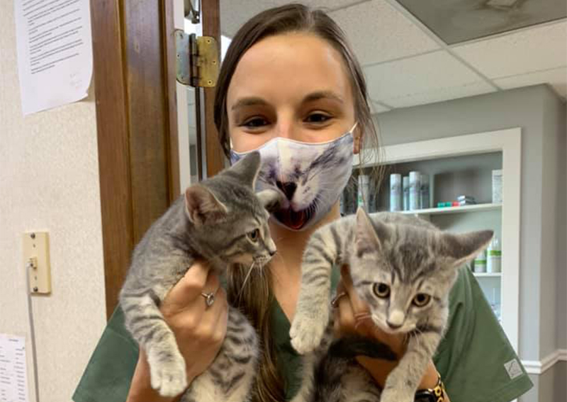 Carousel Slide 2: Cat Veterinary Care, Strongsville