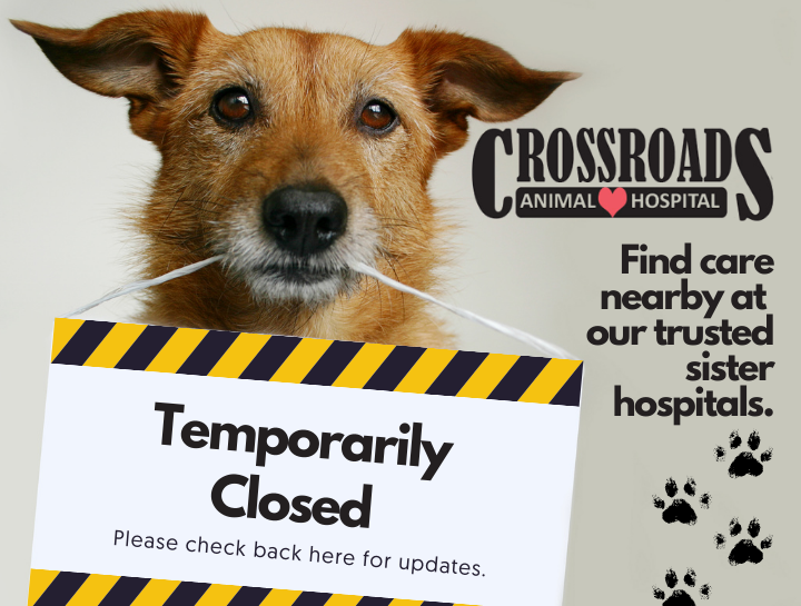 Important Update Regarding Our Hospital